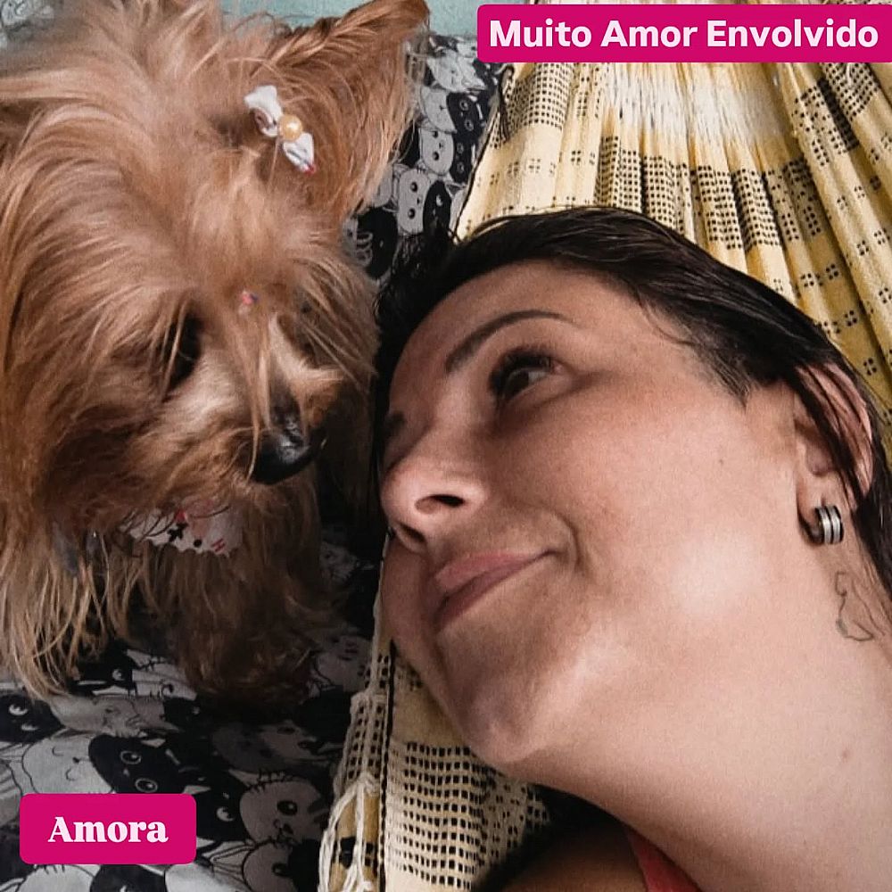 Hotel para Cães Casa da Tia Fabi – Itapoá/SC — foto 2